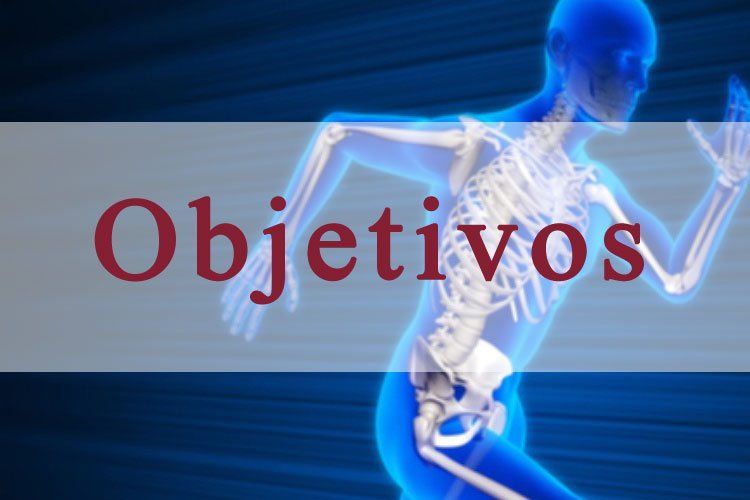 objetivos